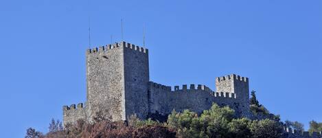 Un château médiéval doté de deux tours imposantes, entouré d’une végétation luxuriante.