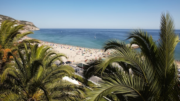 A beach with palm trees, a sandy shore, and a clear blue sky. - Hotel Do Mar (Sesimbra)