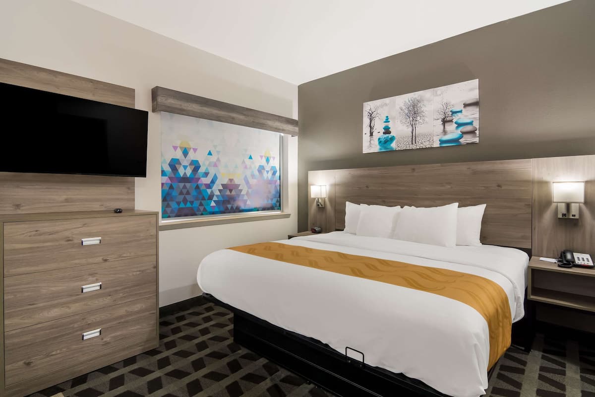 Suite, 1 King Bed with Sofa bed, Accessible, Non Smoking | Minibar, desk, blackout drapes, iron/ironing board