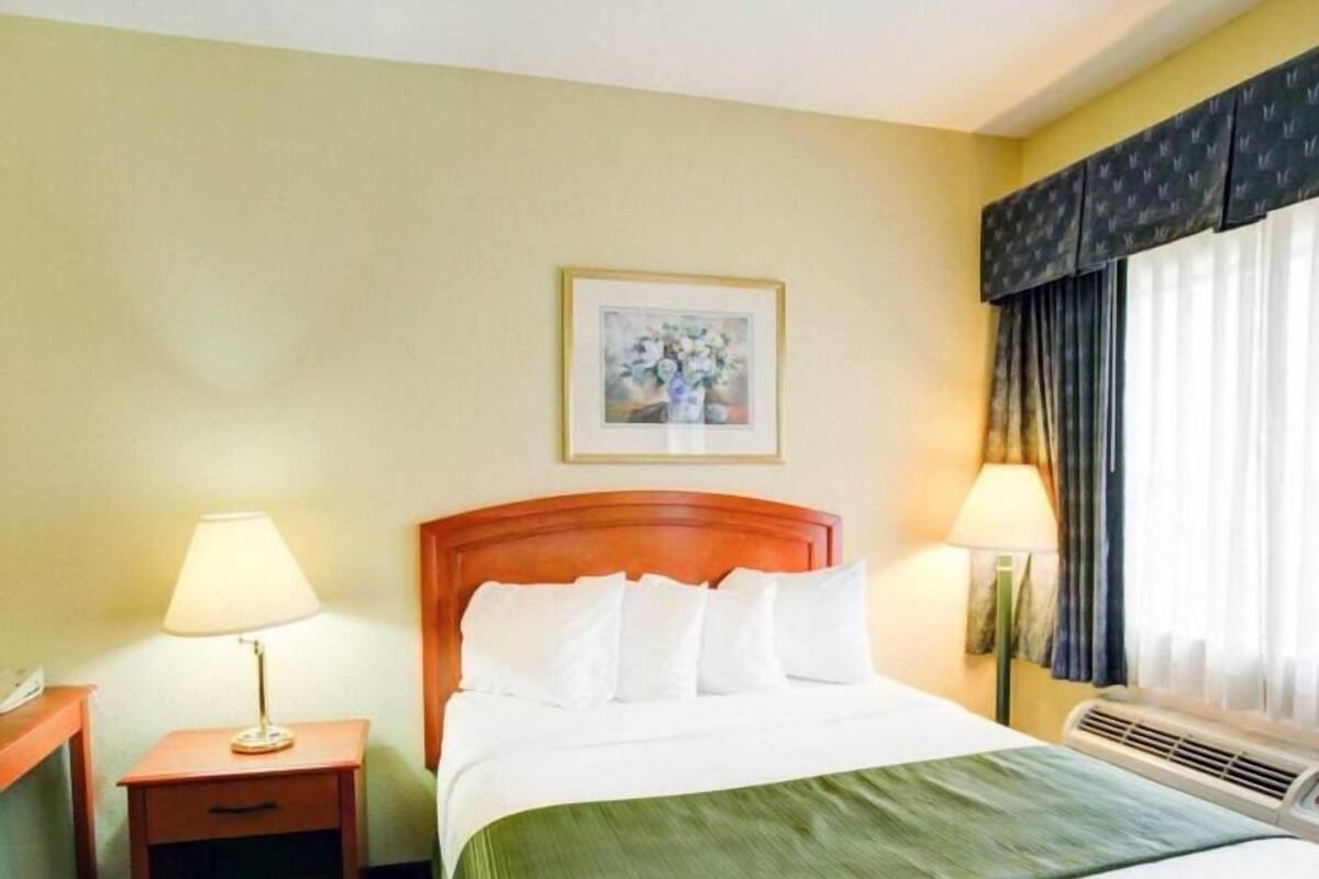 A hotel room with a bed, a nightstand, a lamp, a framed picture on the wall, and a window with curtains.