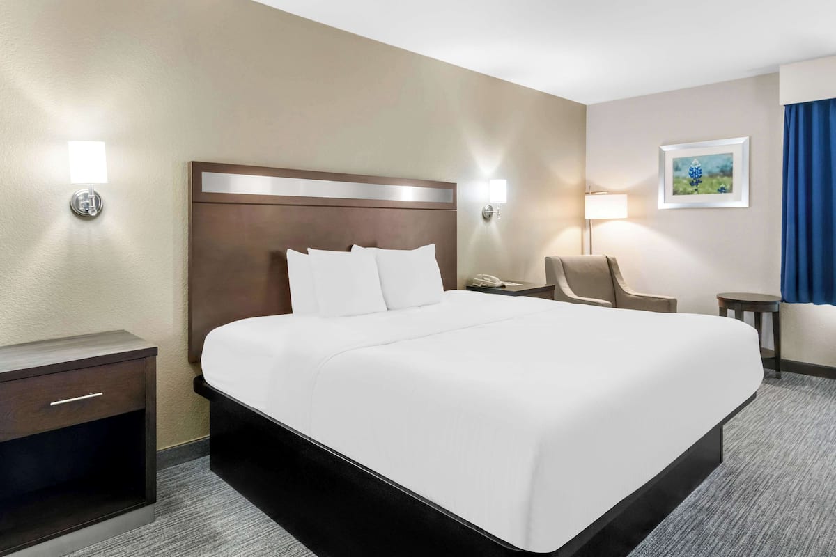 Standard Room, 1 King Bed, Accessible, Non Smoking (Walk-in Shower) | Pillowtop beds, desk, laptop workspace, iron/ironing board