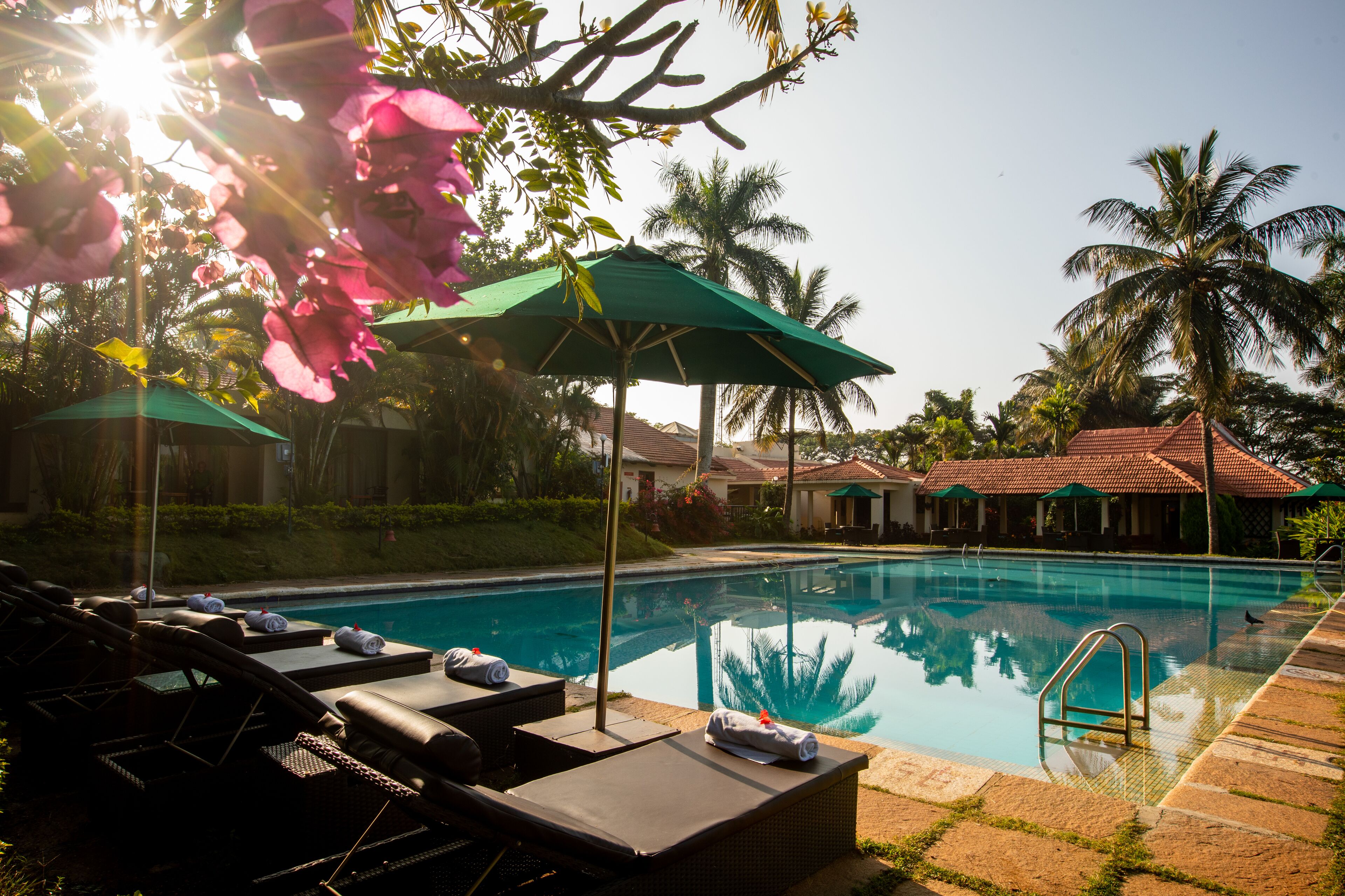 A poolside area with lounge chairs and umbrellas, surrounded by palm trees and a building with a tiled roof.