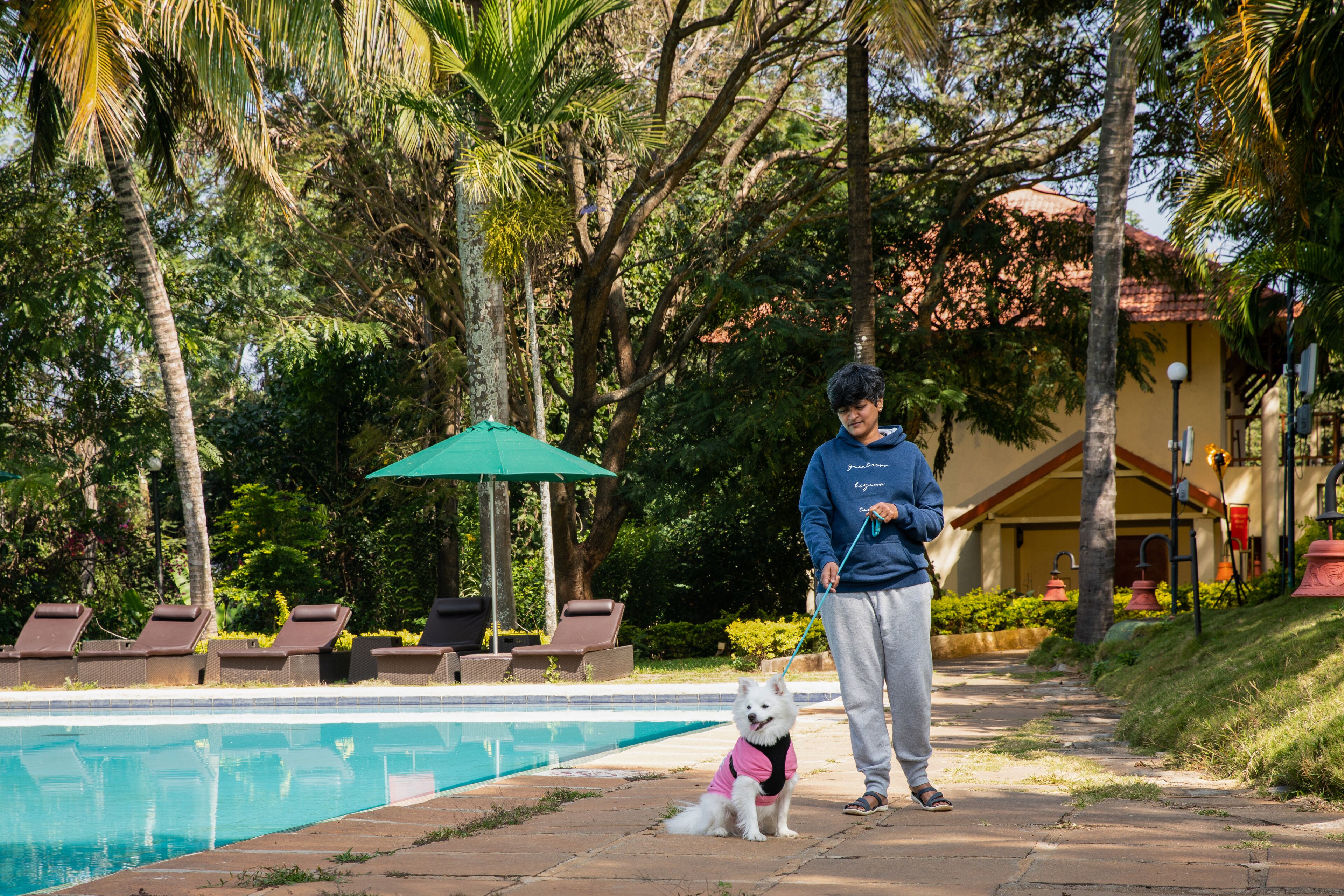 A pool area with lounge chairs and a person walking a dog.
