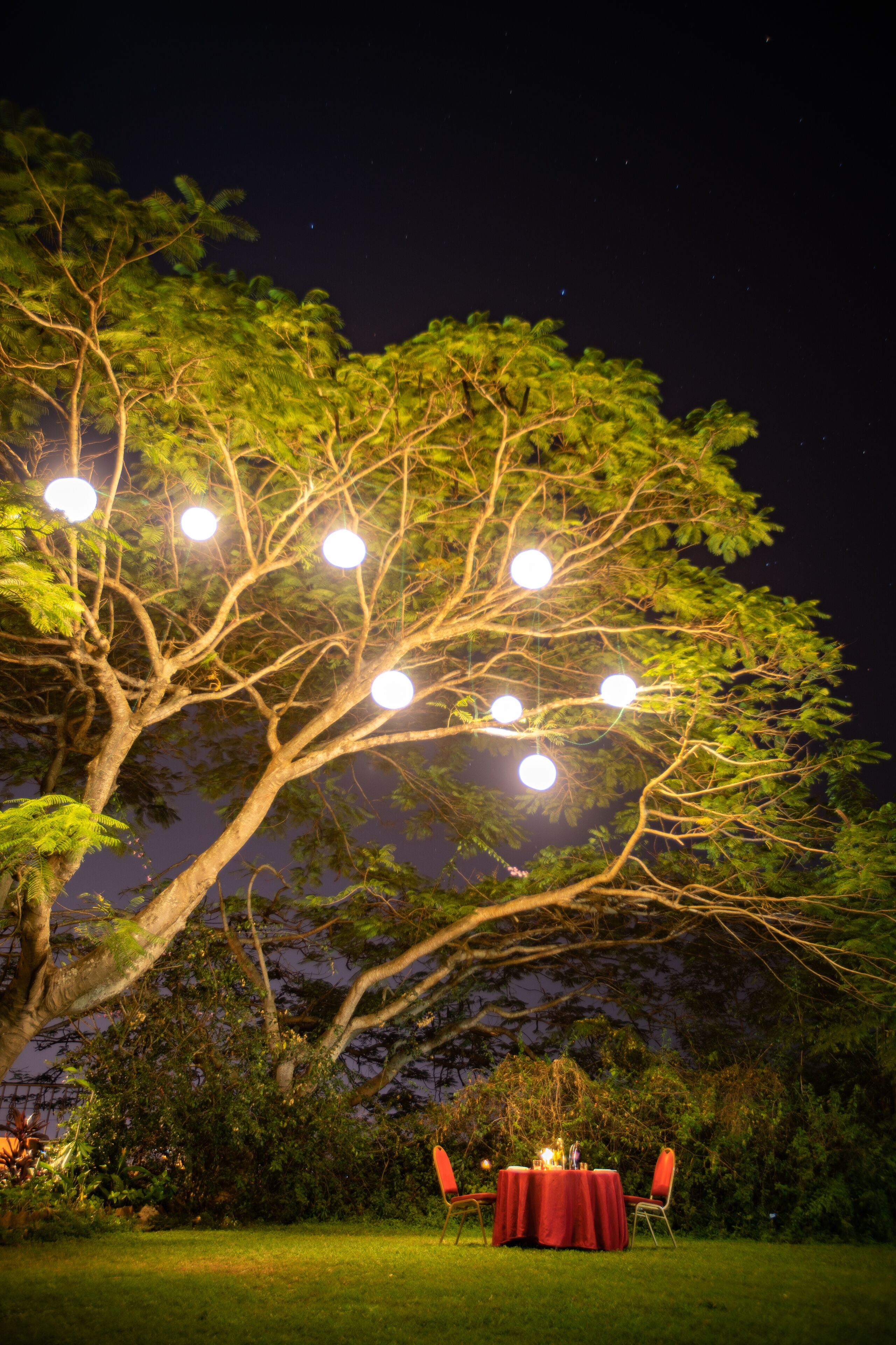 A tree with lights and a table set for two under it.