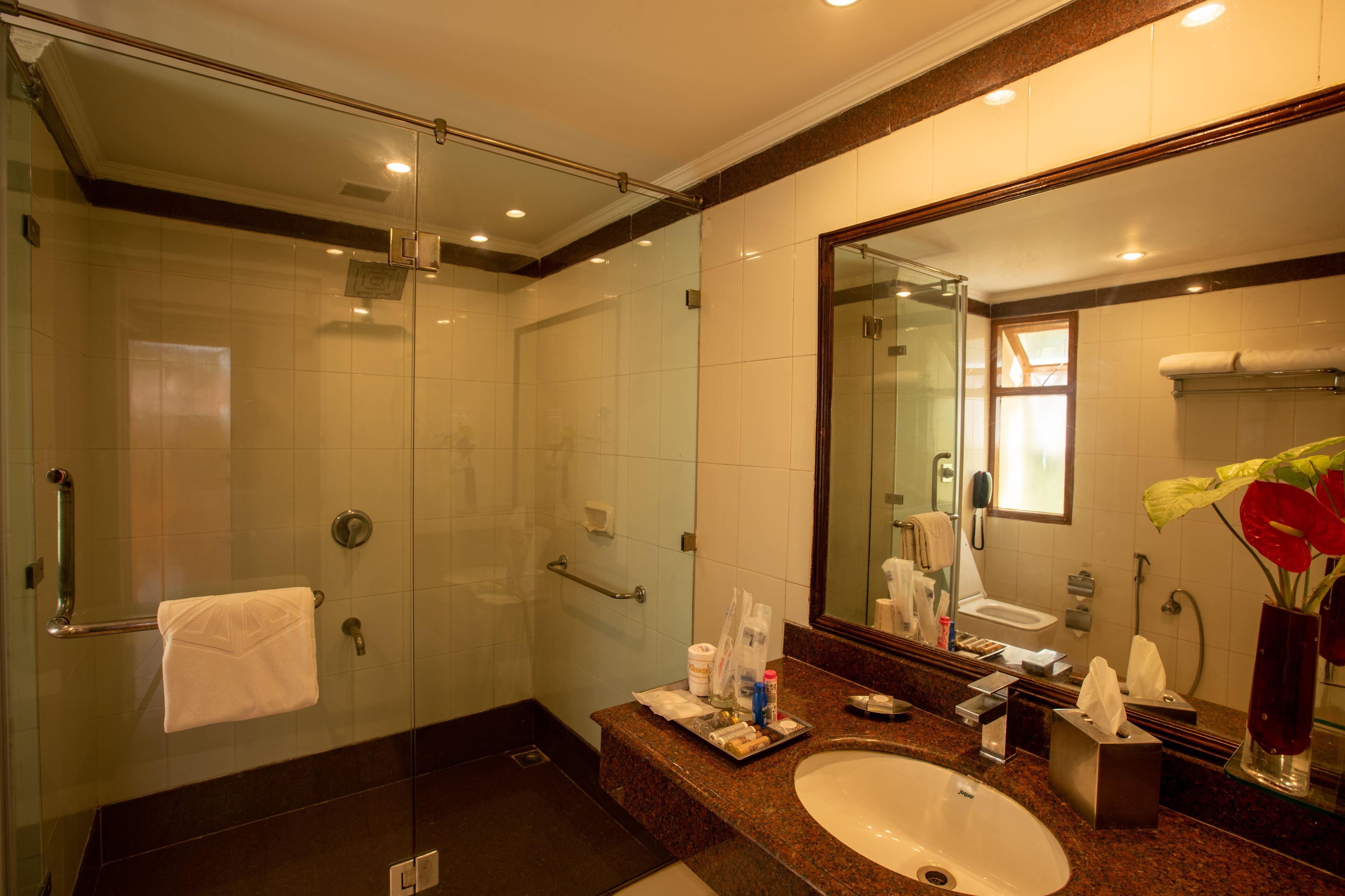 A modern bathroom with a glass-enclosed shower, a large mirror, and a marble countertop.