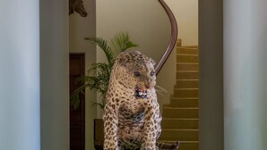 A leopard statue on a rock base in a hallway with a staircase in the background. - The Maharaja's Lodge, Ranthambore (Sawai Madhopur)