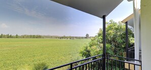 Vista desde la habitación