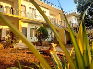 Standard Double Room | Free WiFi, bed sheets - Gir Jungle Lodge (Mendarda)