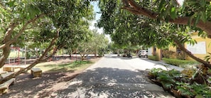 Garden - Gir Jungle Lodge (Mendarda)