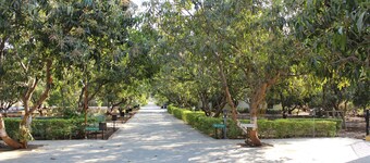Gir Jungle Lodge