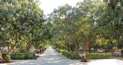Gir Jungle Lodge