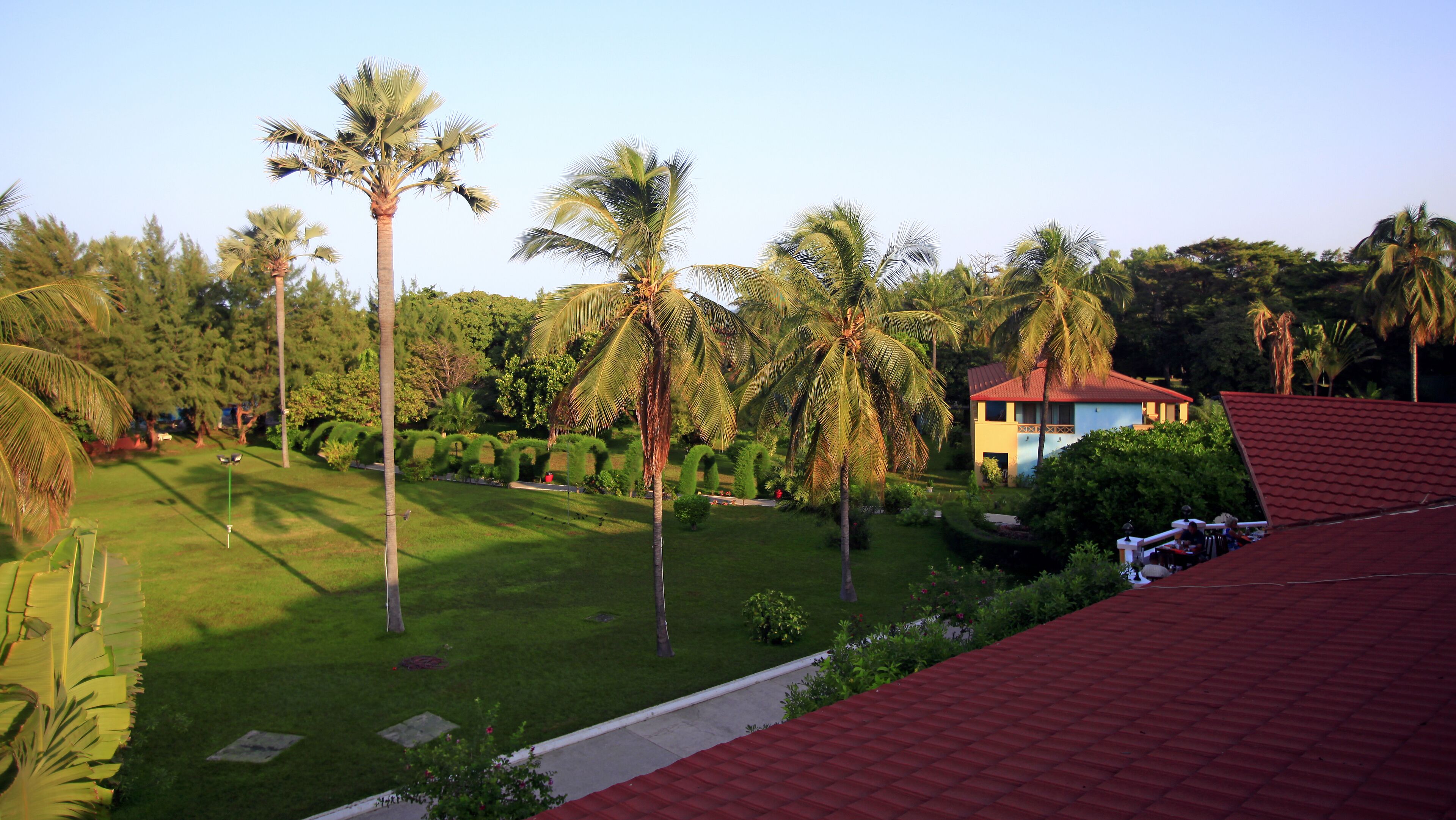 A residential area with a house, palm trees, and a well-maintained lawn.