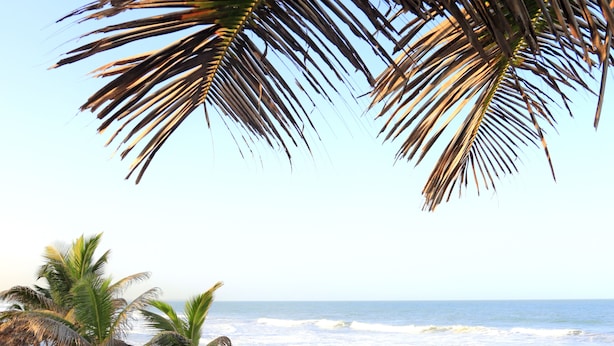 A beach with palm trees, thatched umbrellas, and blue lounge chairs. - The Kairaba Beach Hotel (Serrekunda)