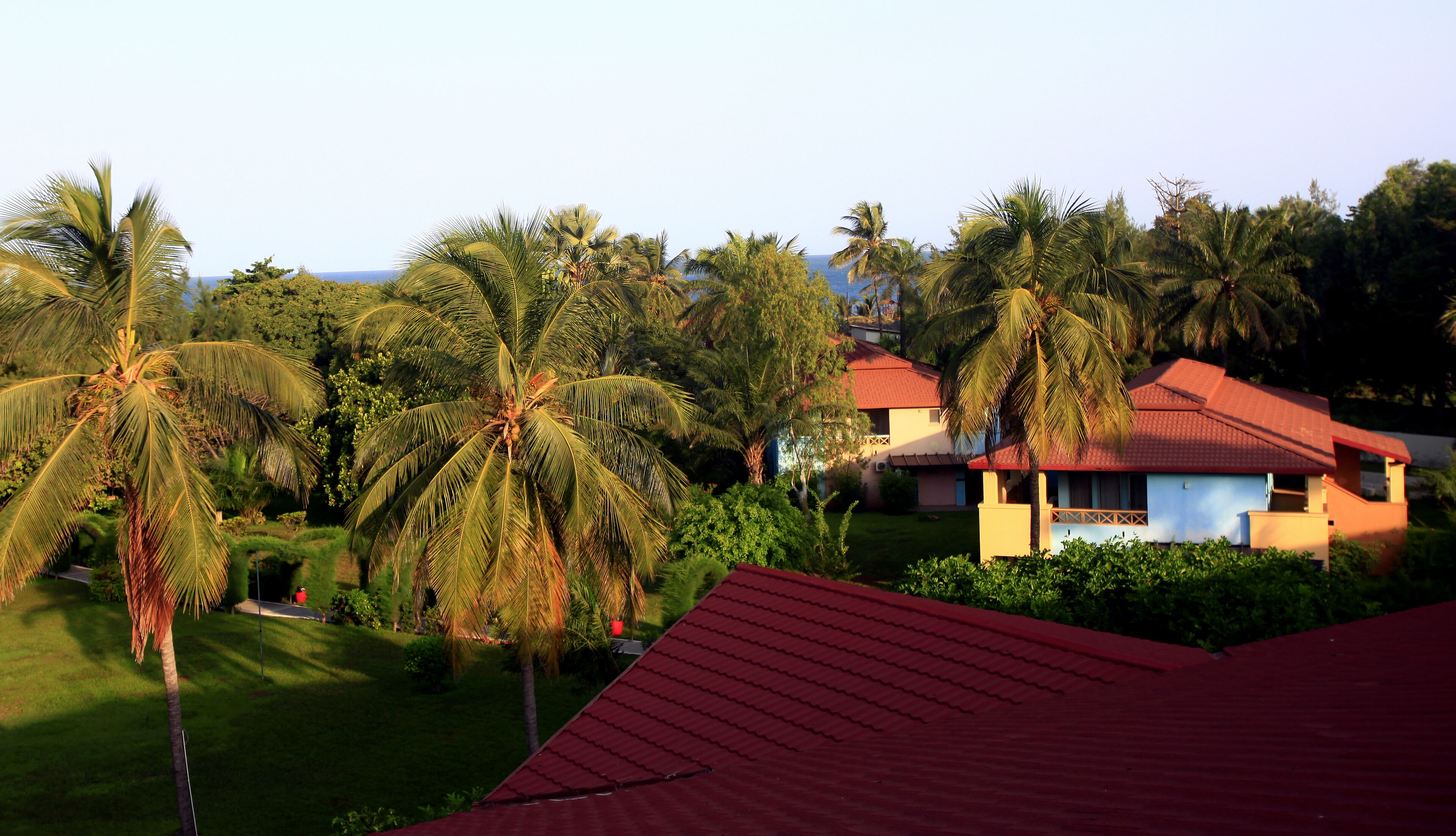 A residential area with houses, palm trees, and a clear sky.