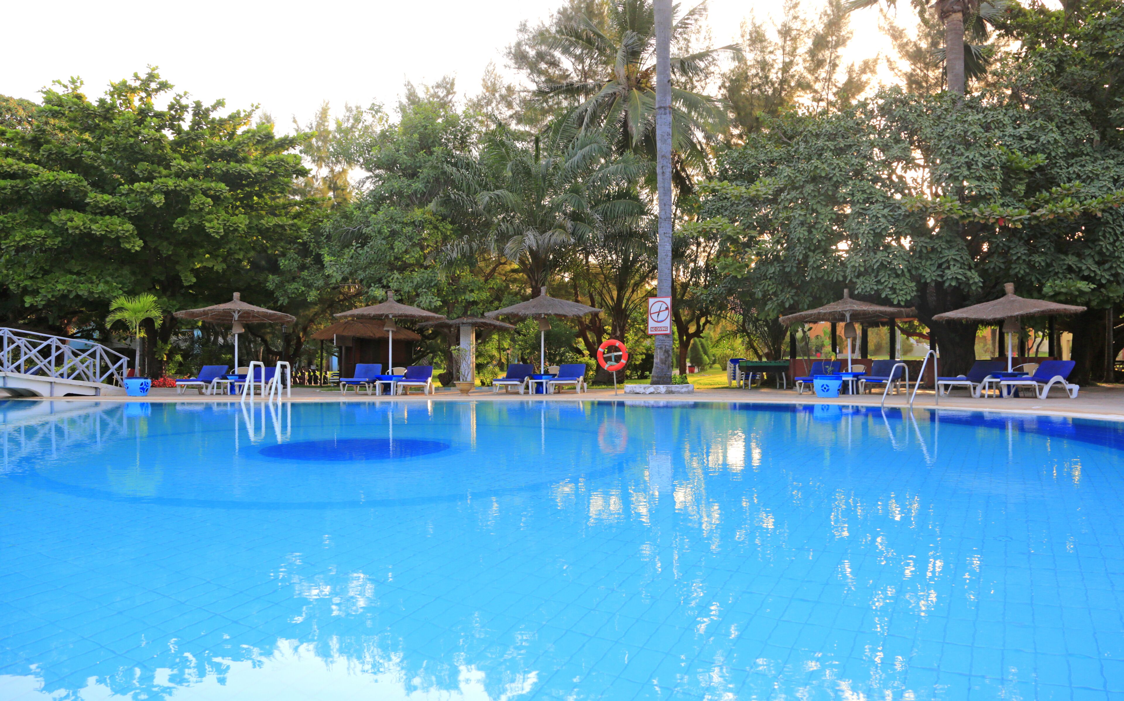 Una piscina con baldosas azules, rodeada de sillas de descanso y sombrillas, con árboles al fondo.