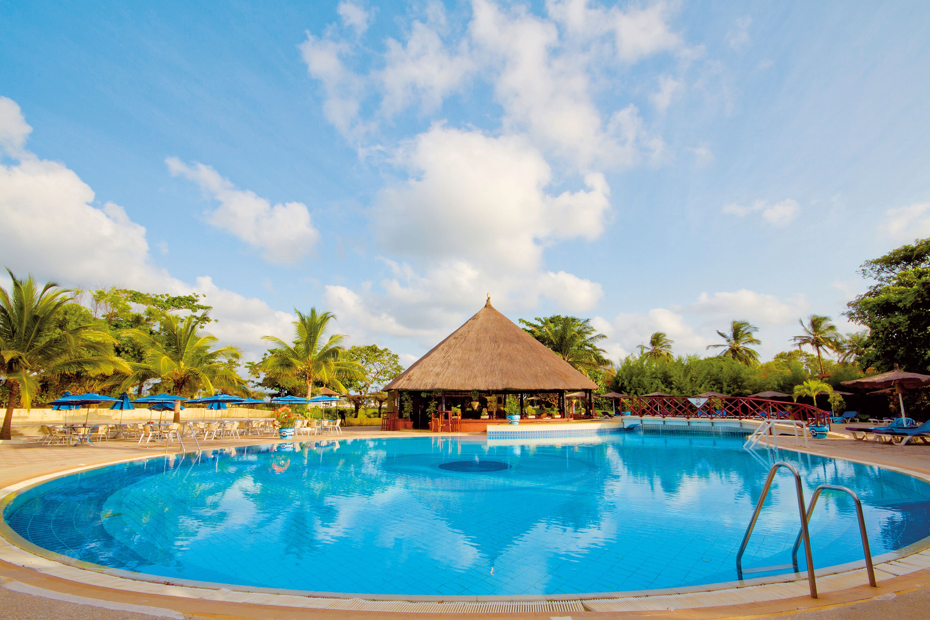 Outdoor pool, sun loungers