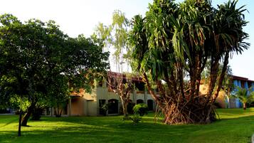 Taman