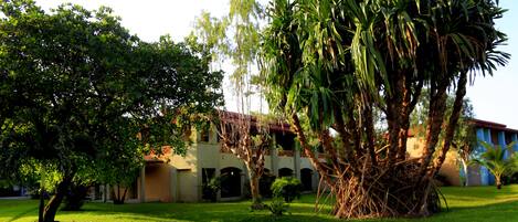 A courtyard with a large tree, a building with multiple arches, and a clear sky.