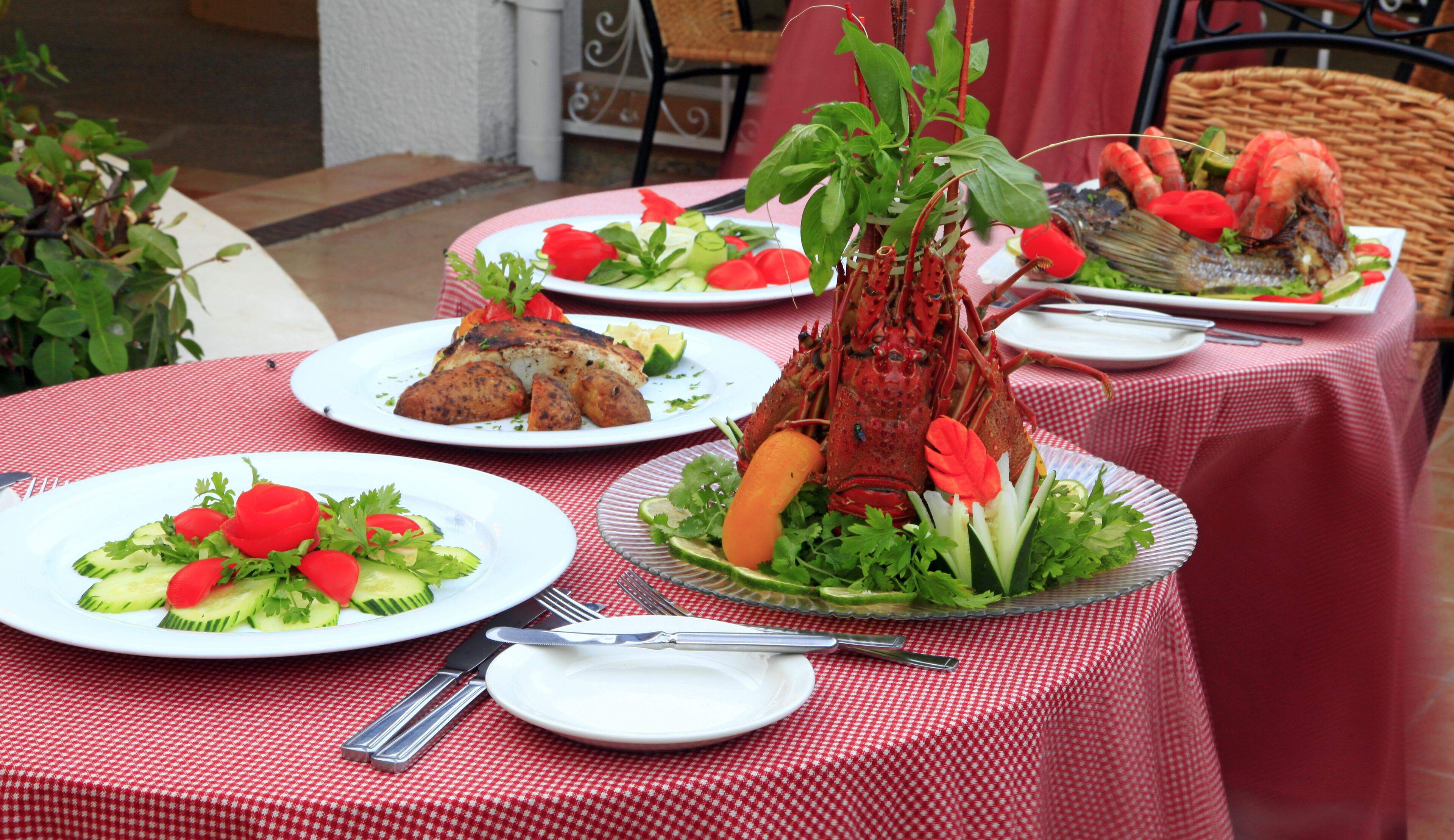 Una mesa dispuesta con platos de comida, incluyendo un langostino, ensalada y otros guisos, sobre un mantel a cuadros rojo y blanco.