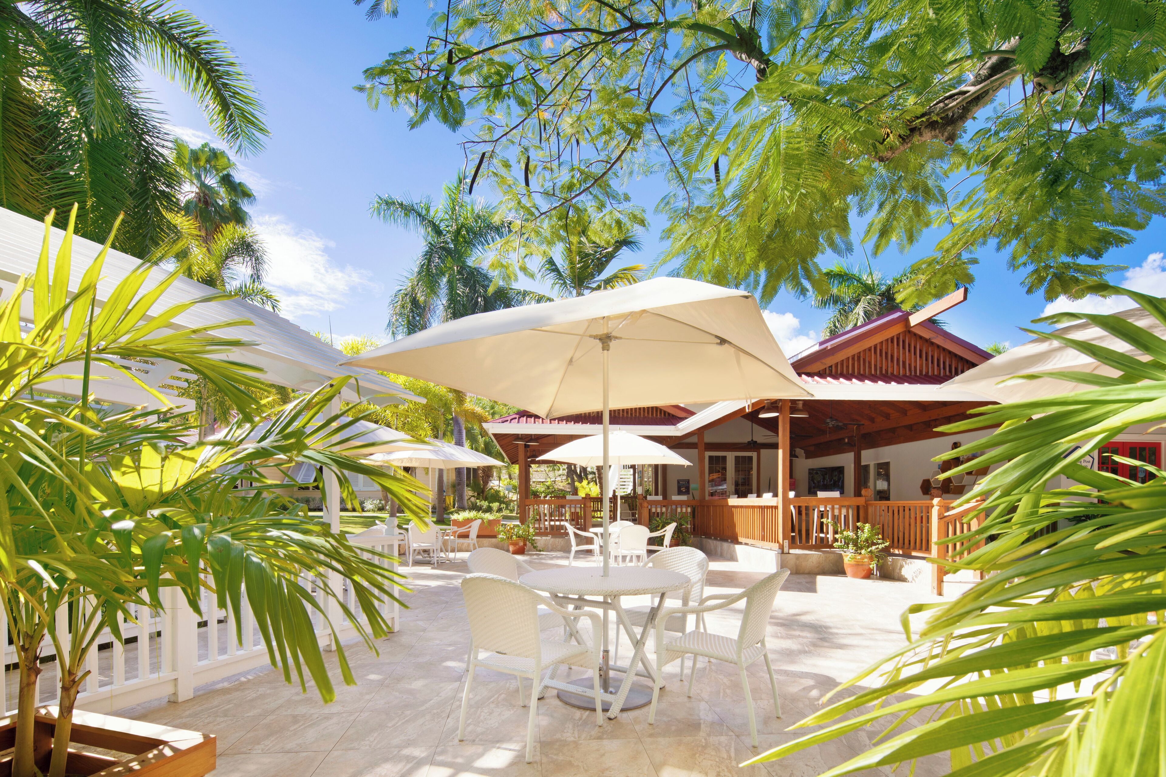 Un patio exterior con muebles de mimbre blanco y grandes sombrillas, rodeado de exuberante follaje y palmeras.