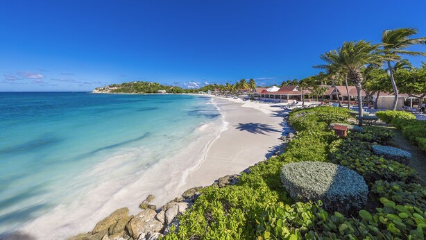 A beach resort with a clear view of the ocean, a sandy shoreline, and lush greenery. - Pineapple Beach Club Antigua - Adults Only – All Inclusive (Willikies)