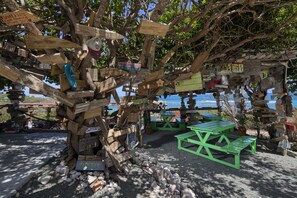 5 bars/lounges, poolside bar