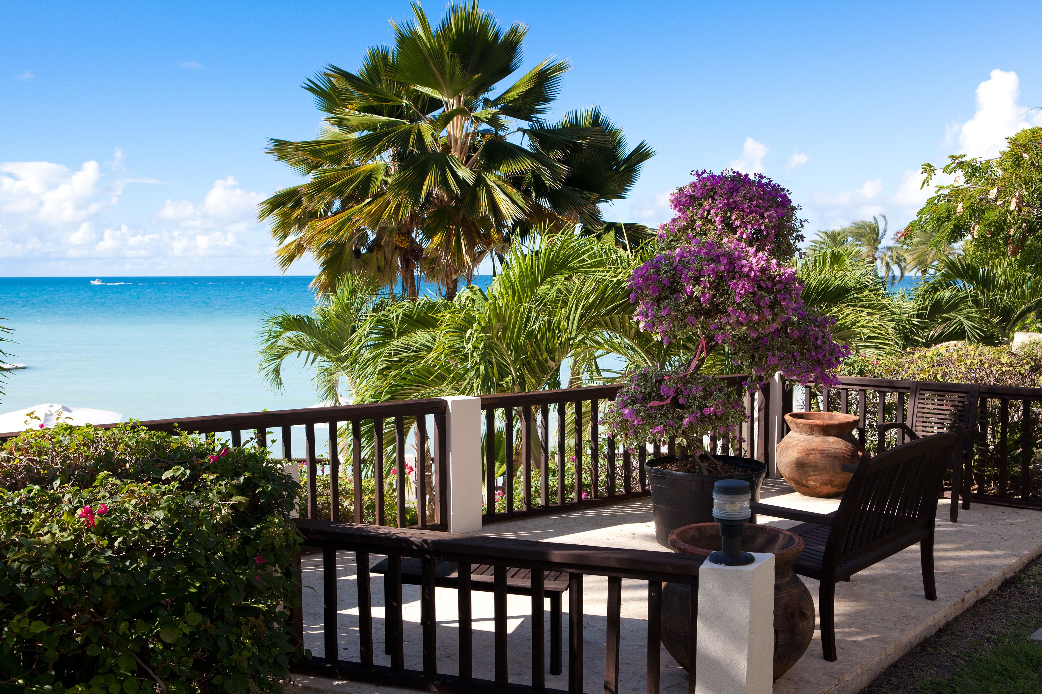 A balcony with a view of the ocean, a wooden bench, and a potted plant.