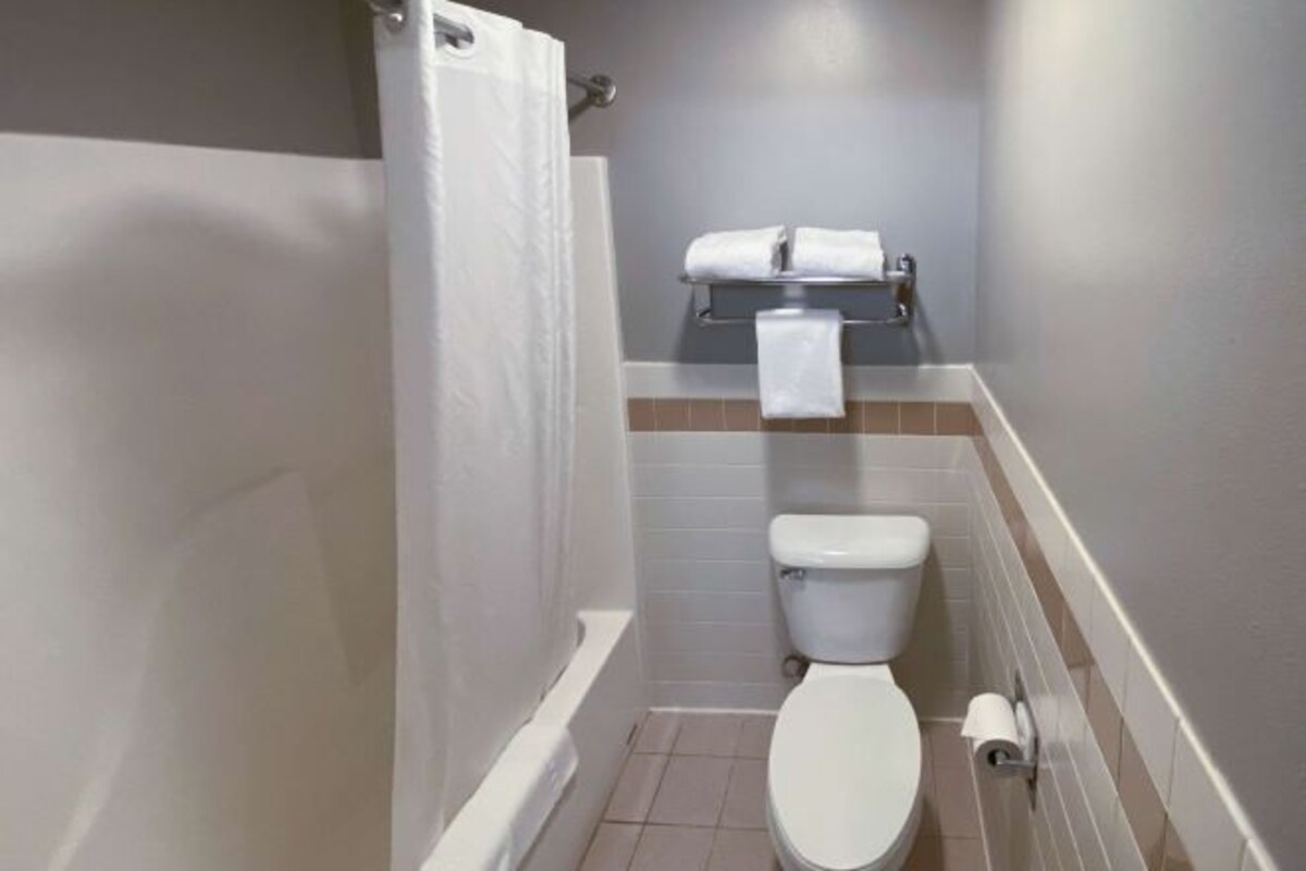 A small bathroom with a toilet, a shower, and a towel rack.