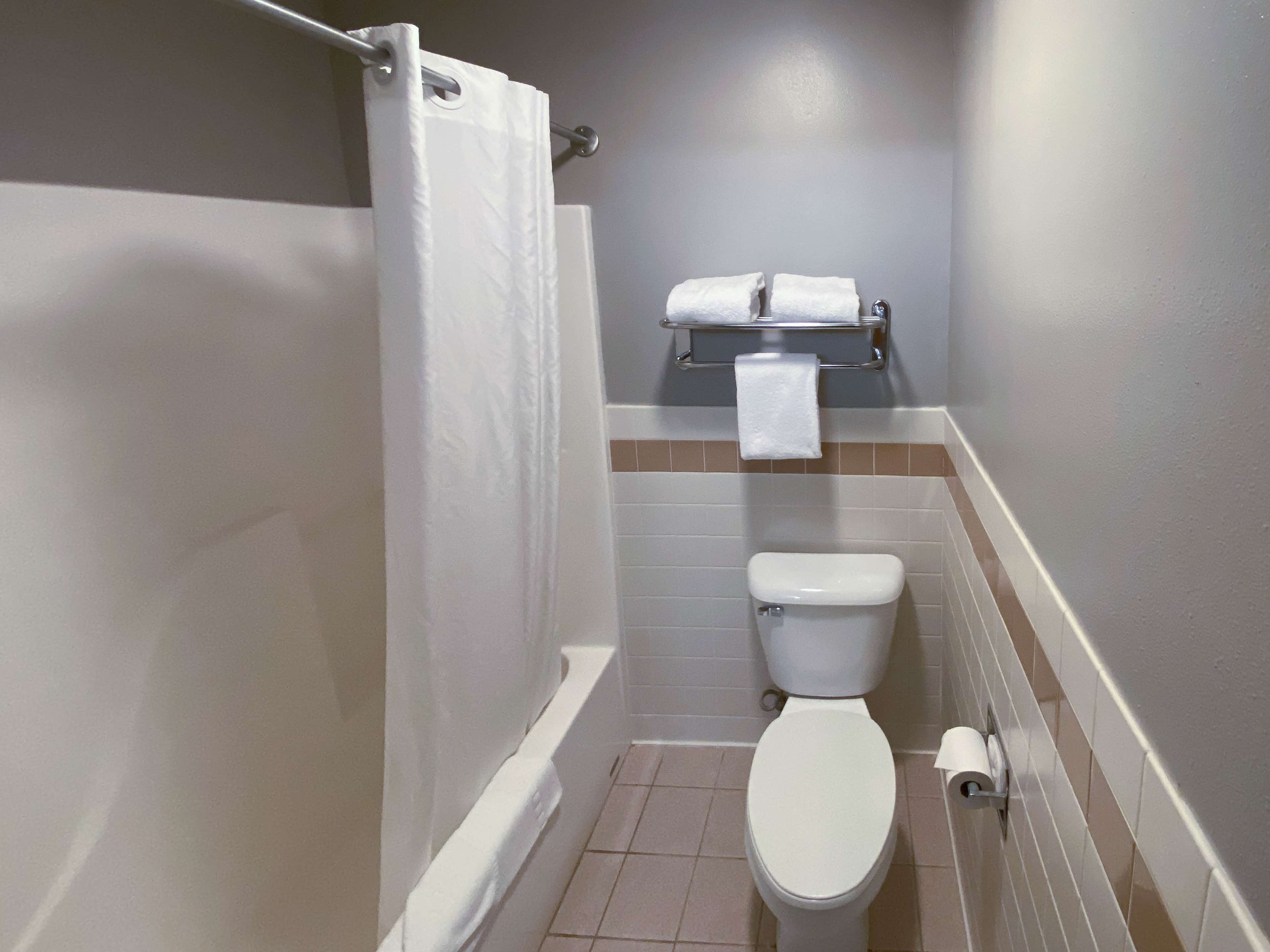 Un baño pequeño con inodoro, cortina de ducha, toallero con dos toallas y dispensador de papel higiénico.
