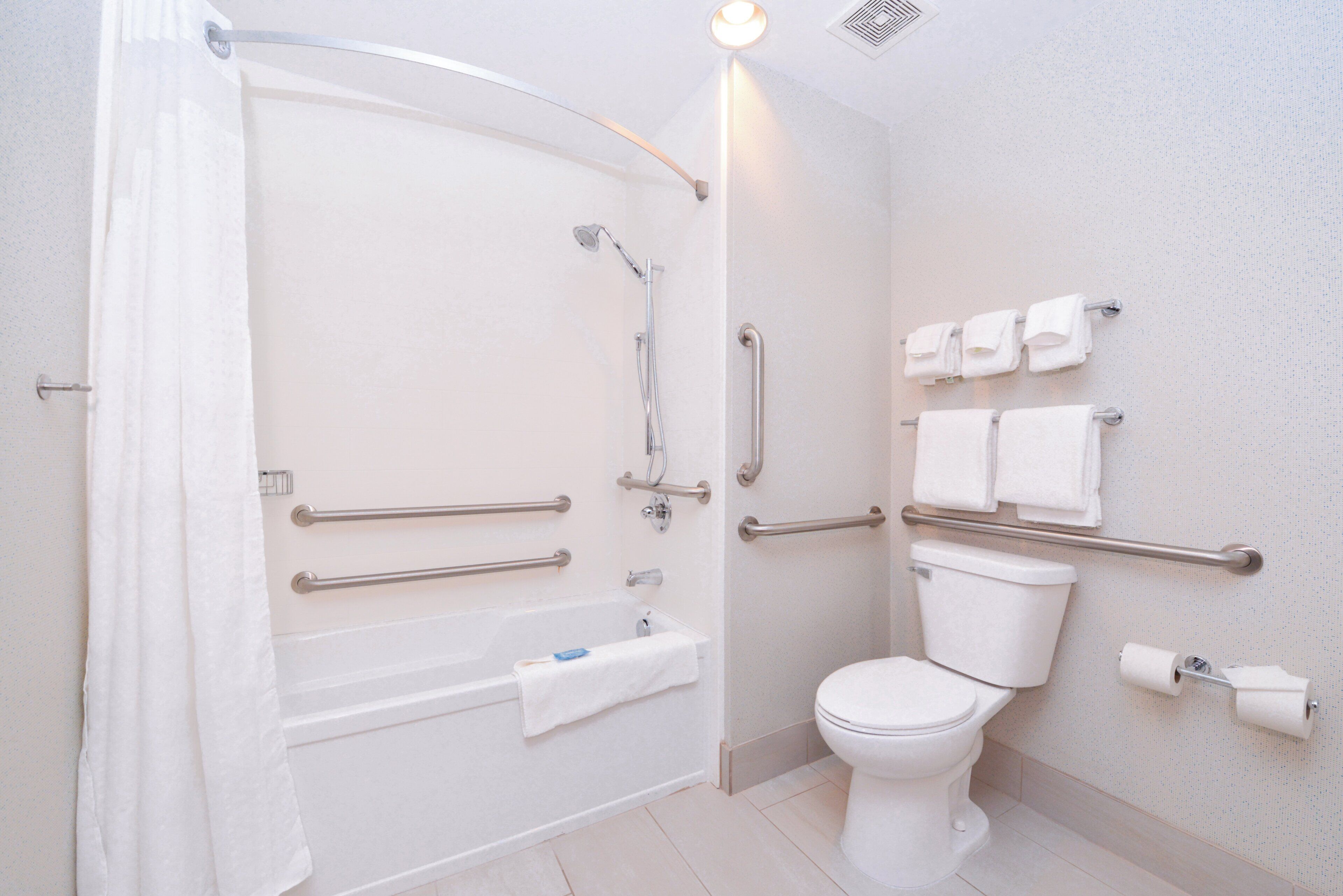 A bathroom with a shower, toilet, and handrails.