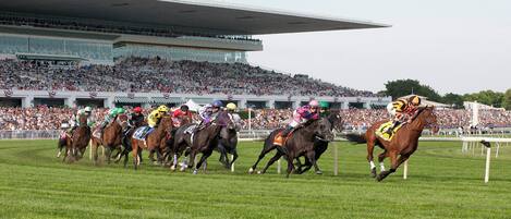 A horse race with jockeys on horses, a crowd in the background, and a large stadium structure.