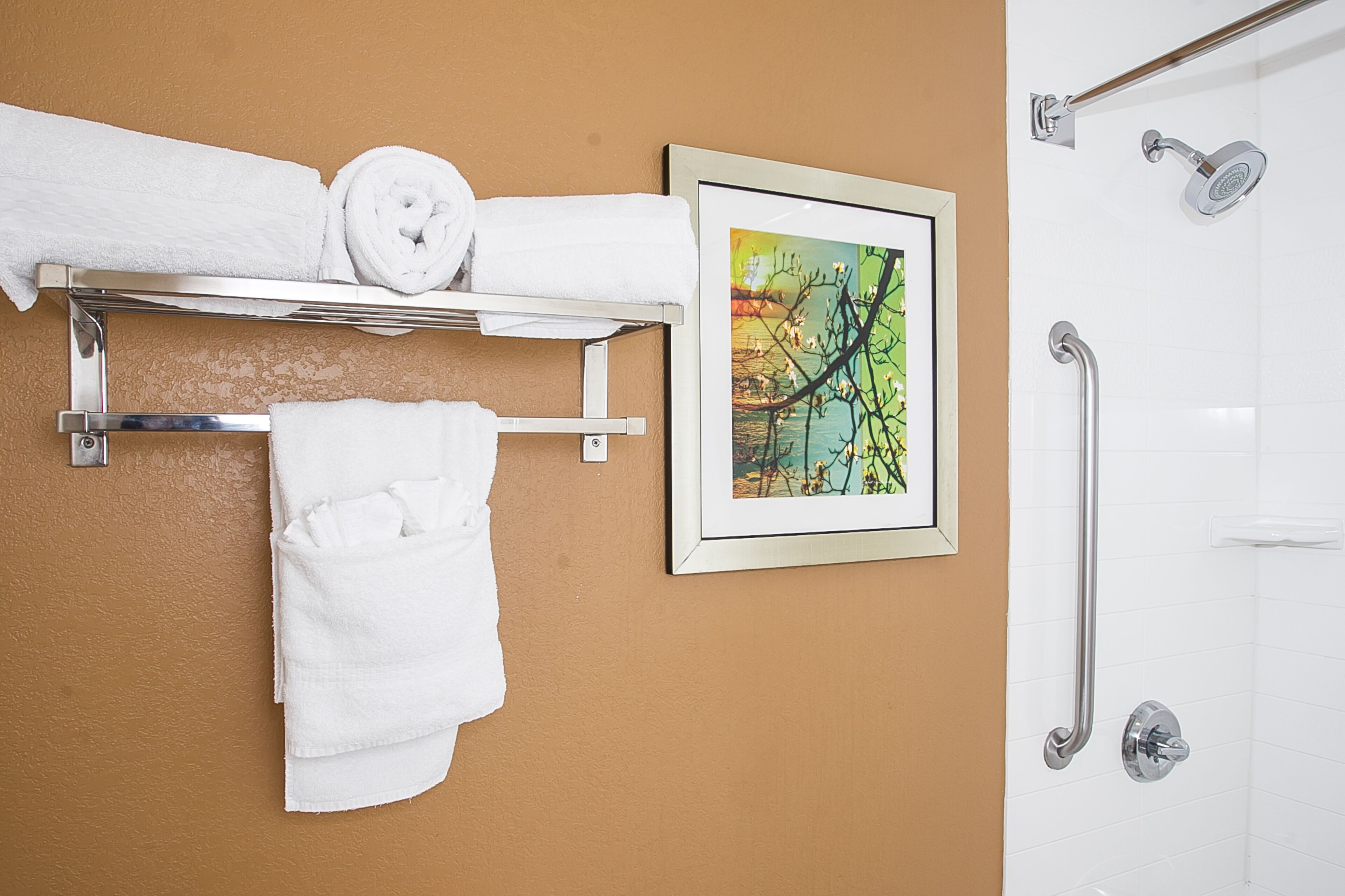 combined shower/bathtub, free toiletries, hair dryer, towels