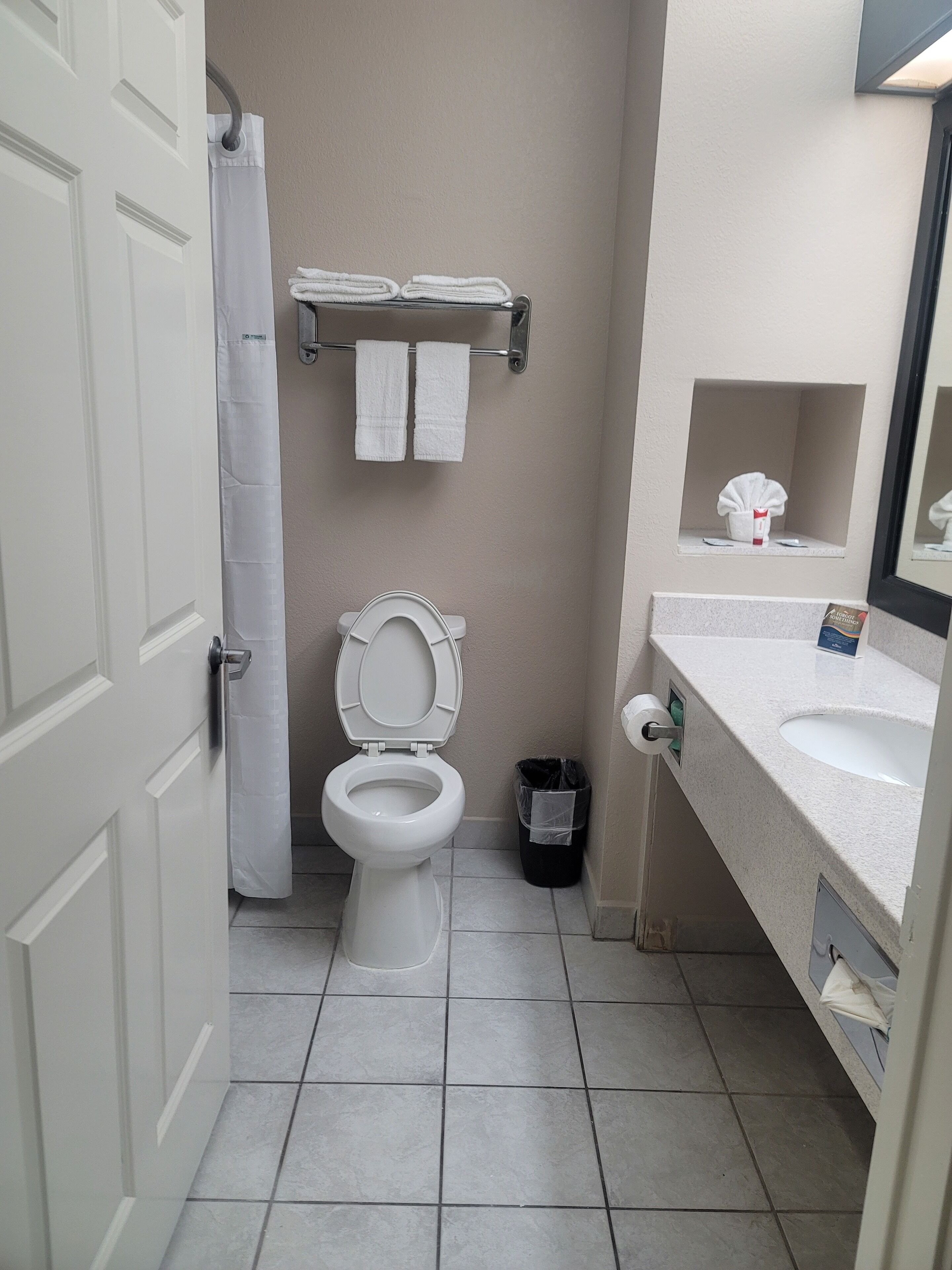 A bathroom with a toilet, a sink, a mirror, and a shower curtain.