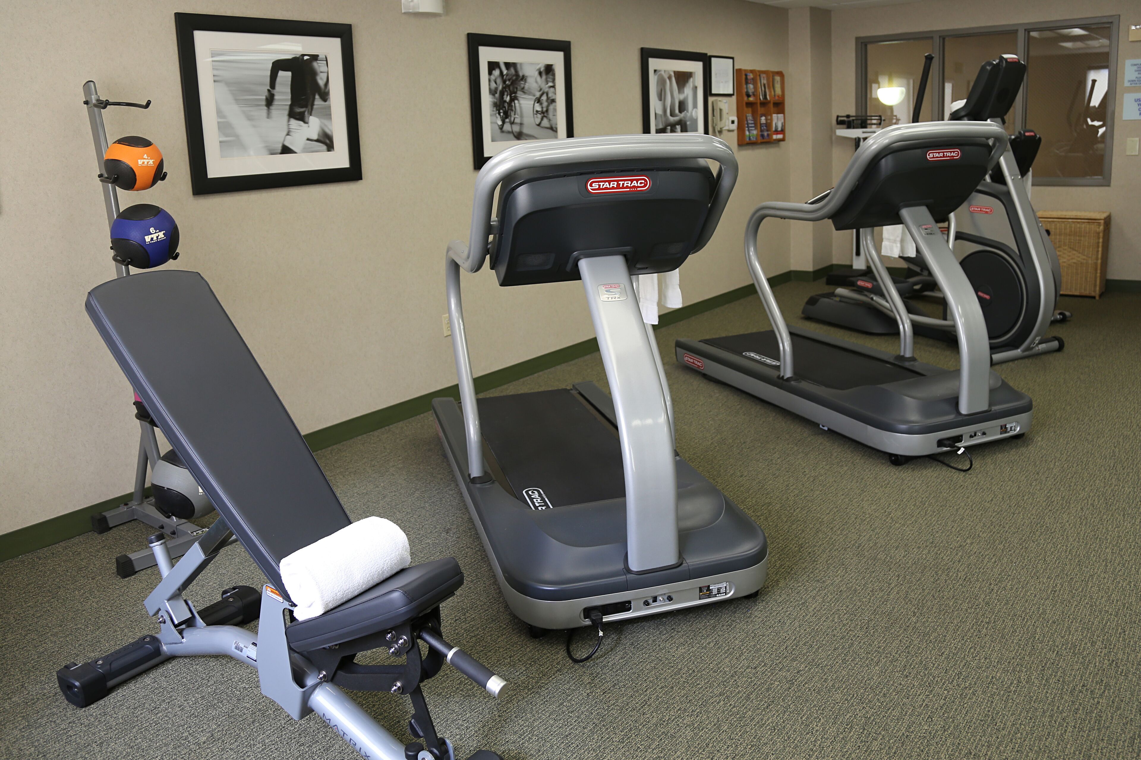 A gym with treadmills, a bench, and exercise balls.
