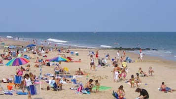 Playa en los alrededores 