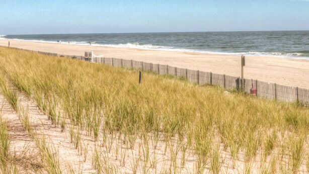 A beach with a wooden fence and tall grass in the foreground. - Hotel Bethany Beach (Bethany Beach)