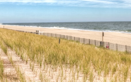 A beach with a wooden fence and tall grass in the foreground.