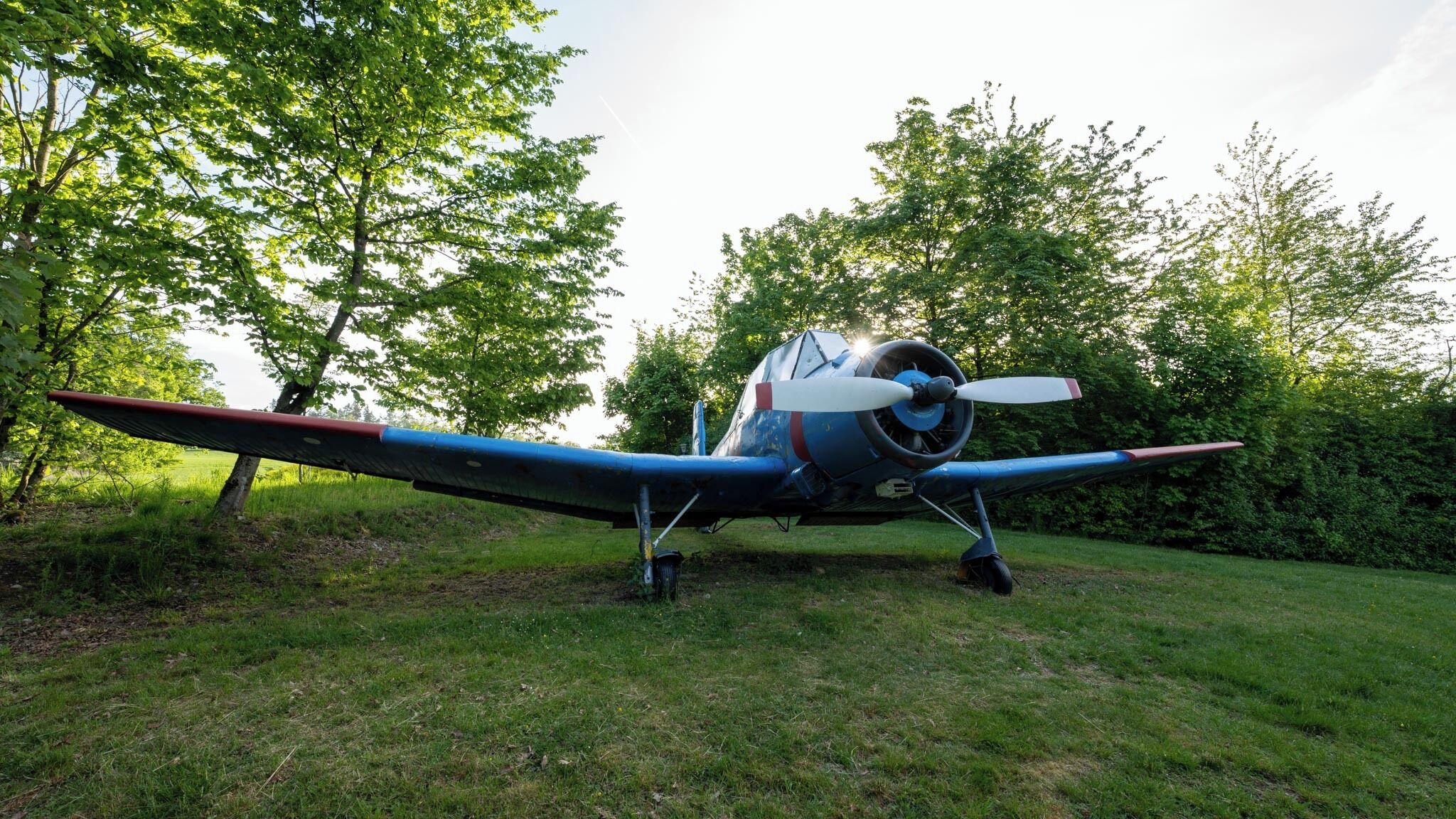A vintage airplane parked in a grassy area surrounded by trees.