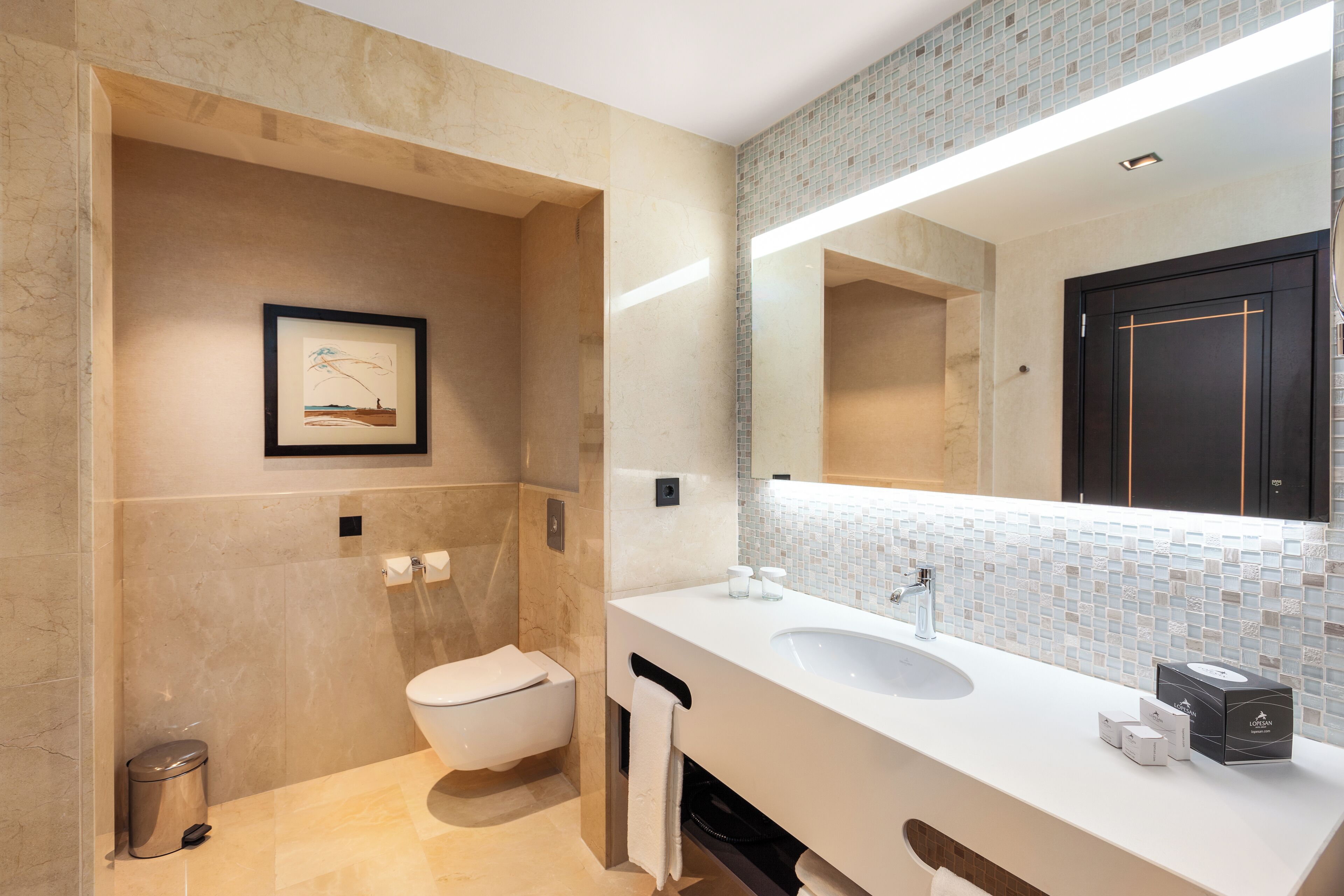 shower, rainfall showerhead, free toiletries, hair dryer