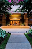 Vista desde la propiedad