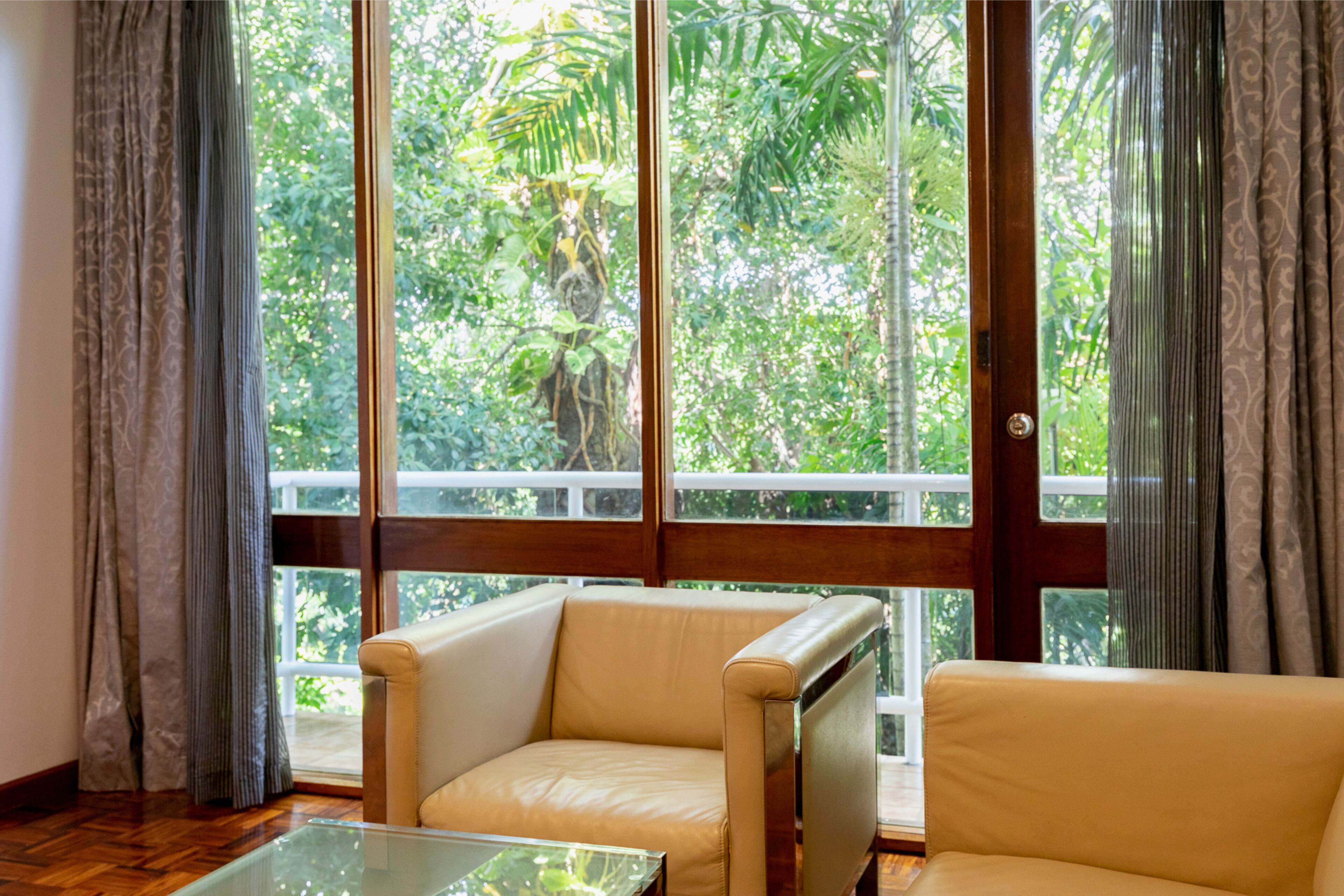 bacchus suite | view from room