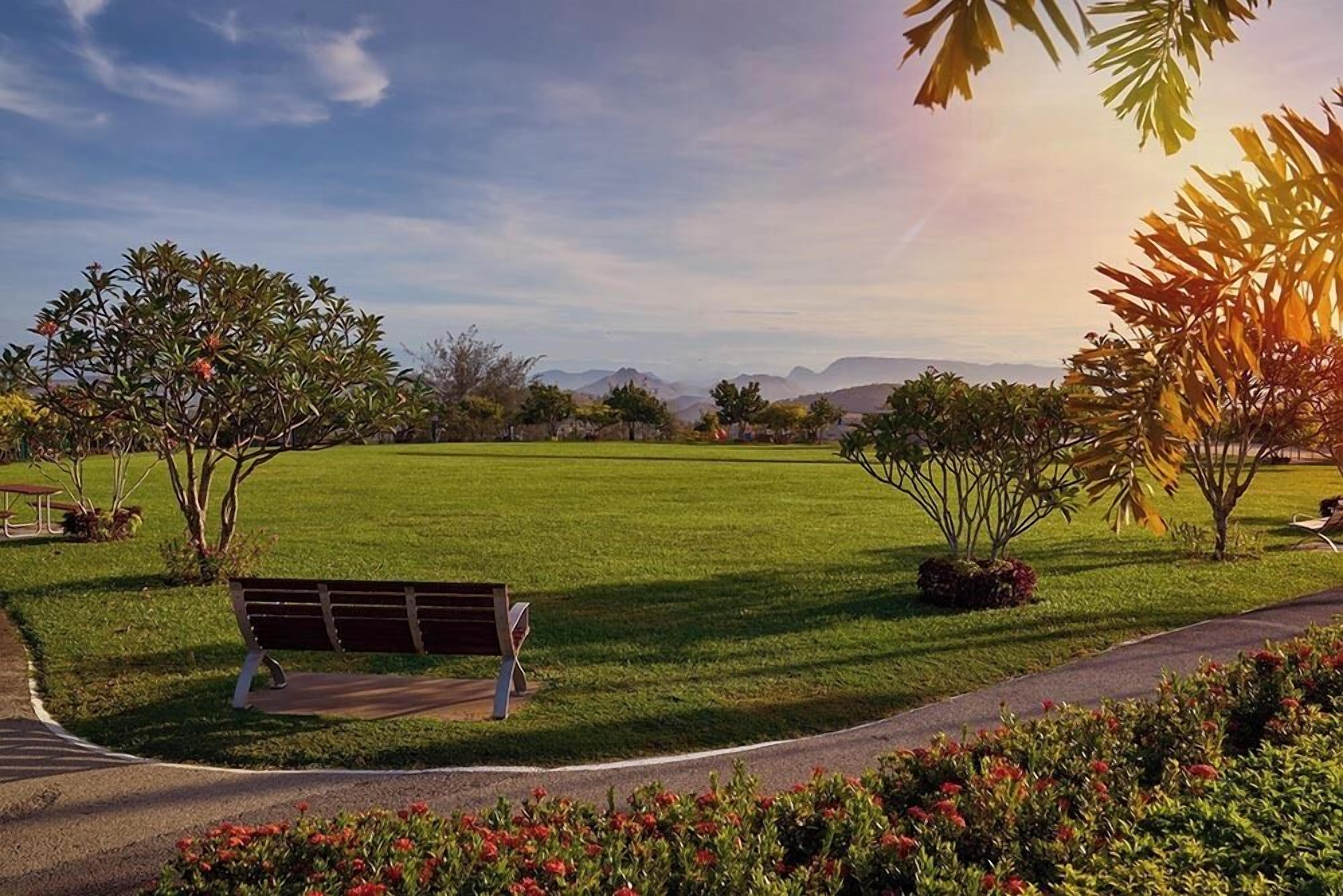 A park with a bench, green grass, and trees.