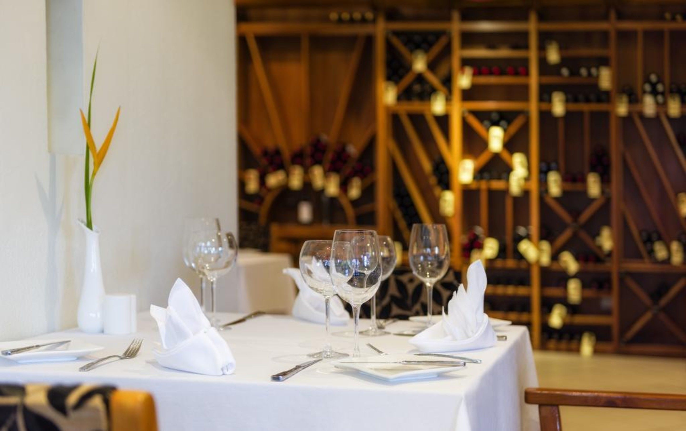A table set for dining with wine glasses and cutlery, a vase with a plant, and a wine rack in the background.