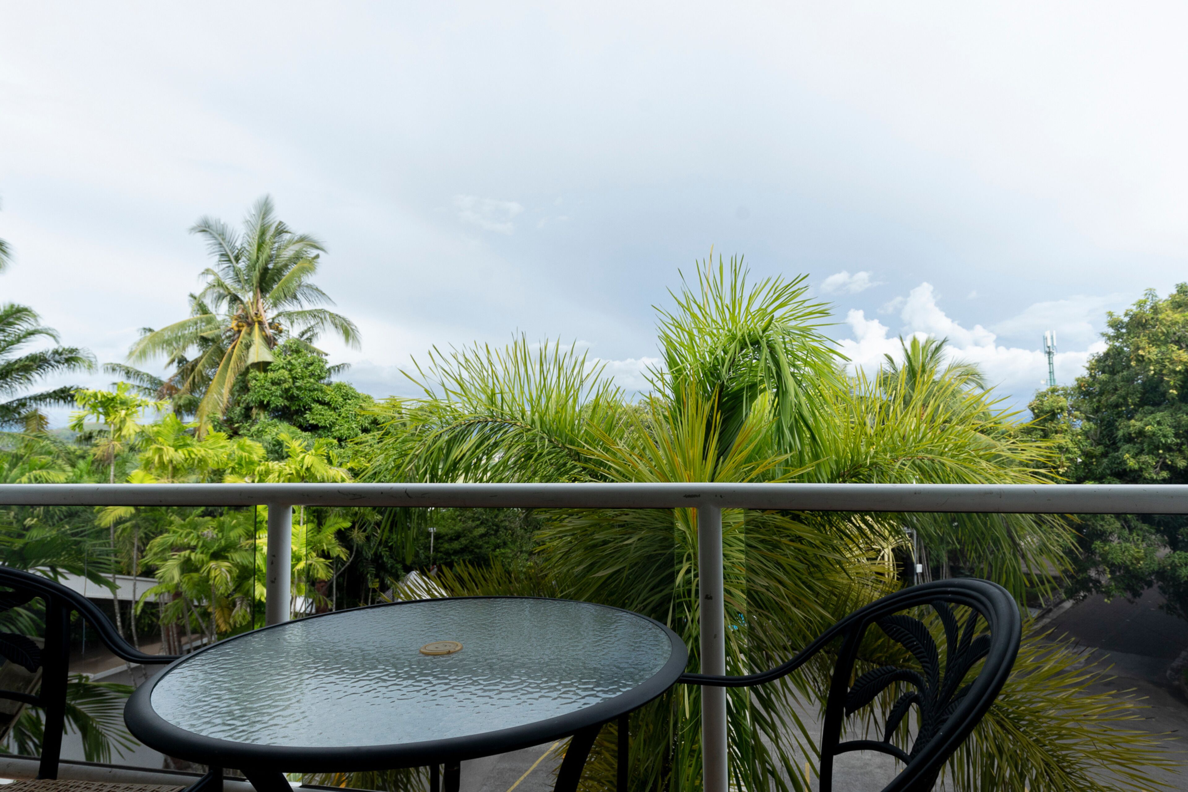 bacchus wing king | terrace/patio