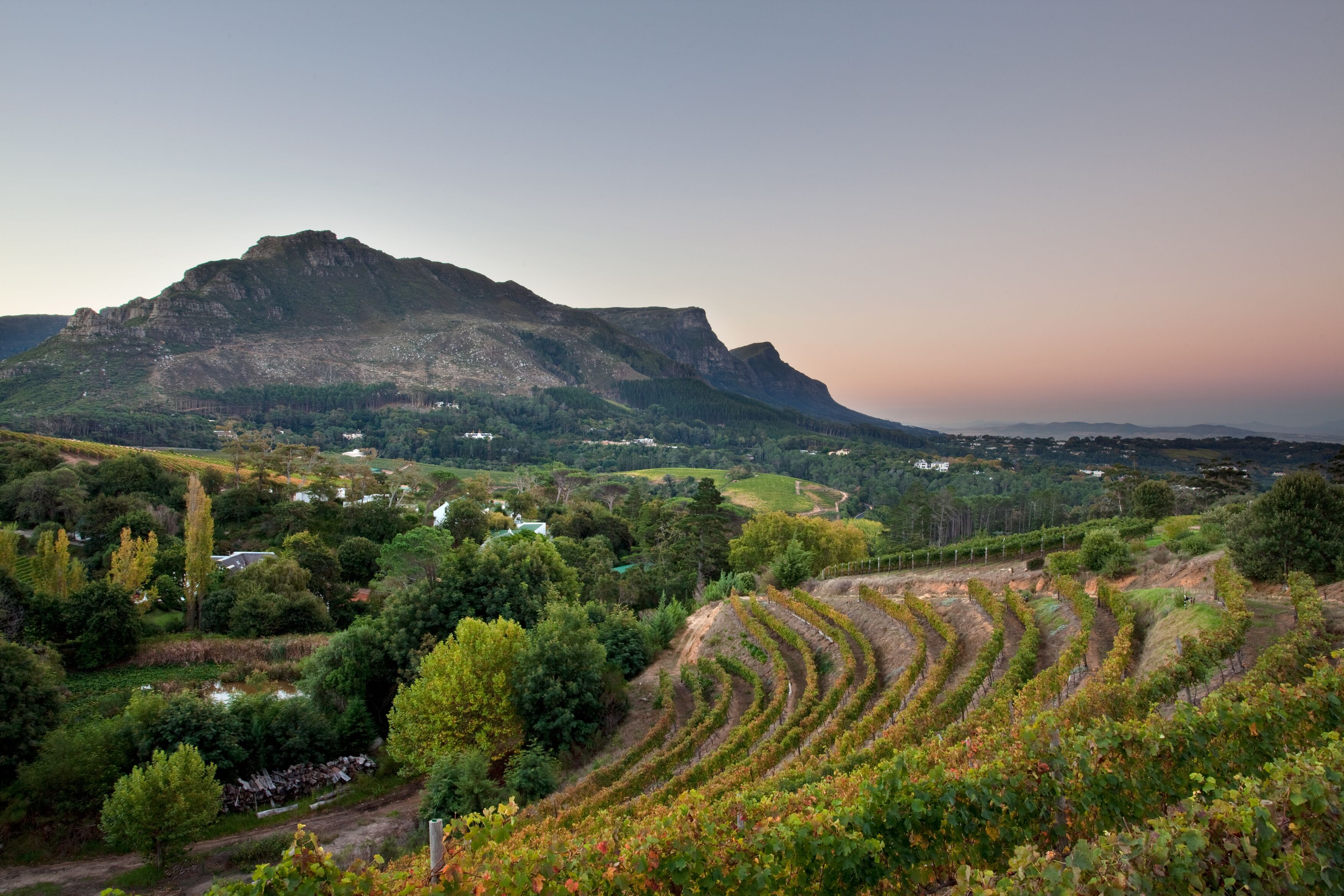 Photo - Steenberg Hotel & Spa