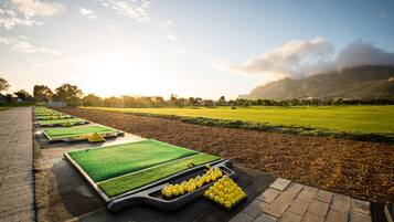 A golf course with neatly arranged green mats and yellow golf balls.