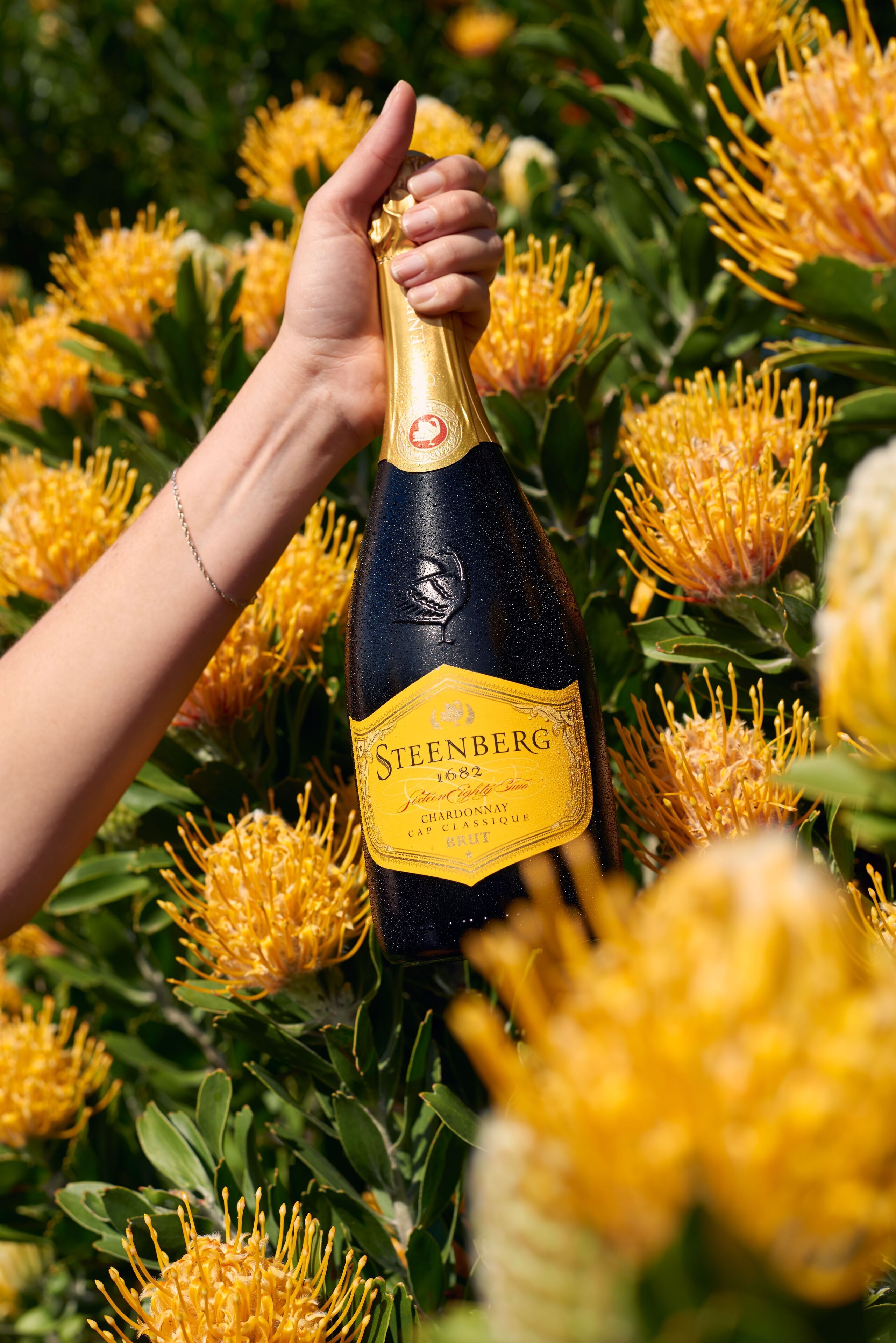 A bottle of Steenberg champagne held by a hand amidst yellow flowers.