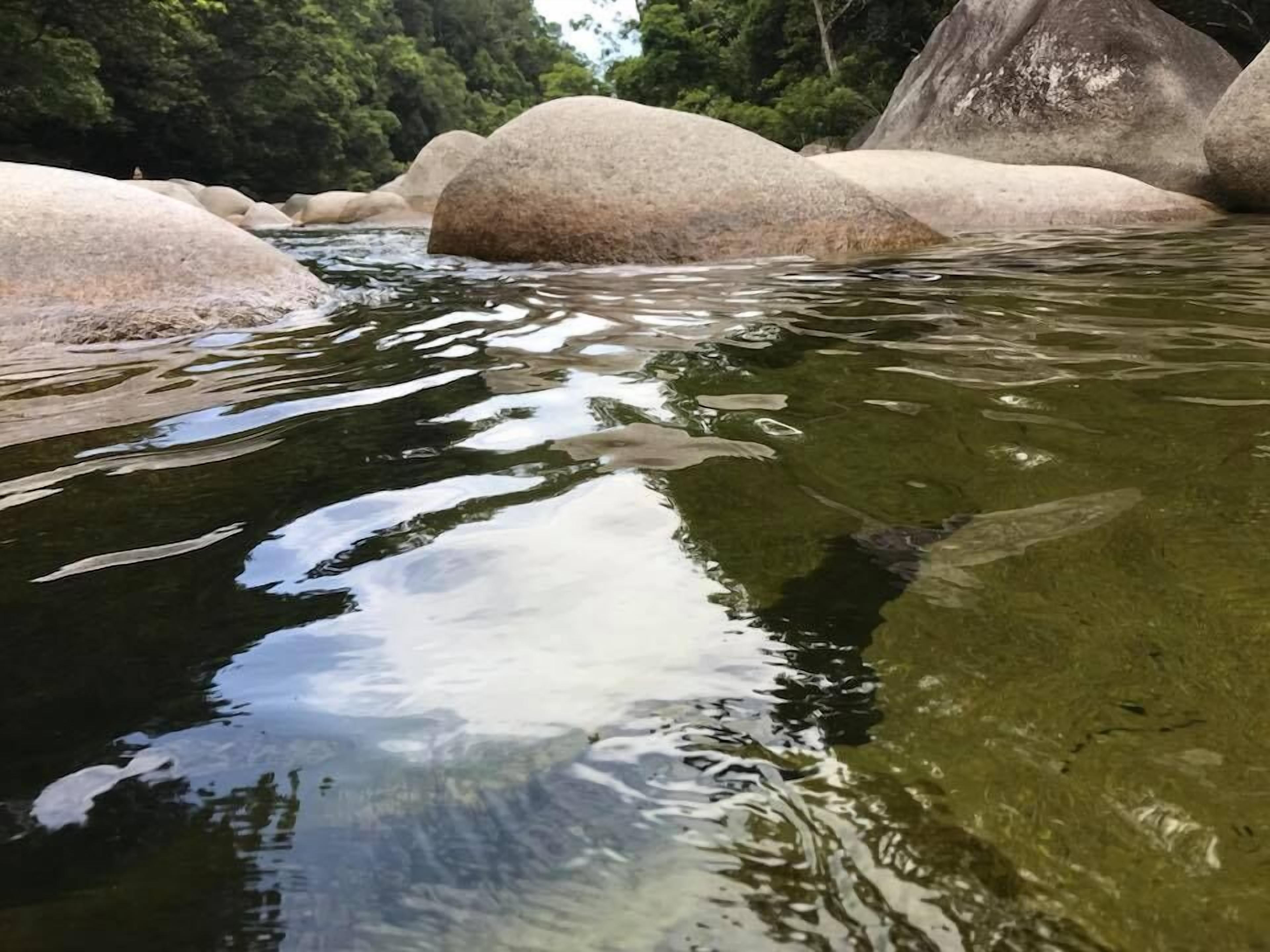 A river with clear water, surrounded by large rocks and dense greenery.