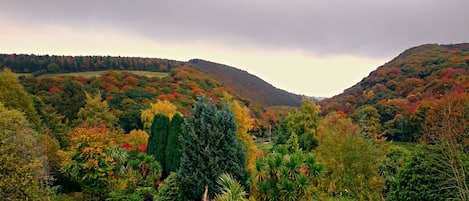 A valley with dense foliage and hills in the background.