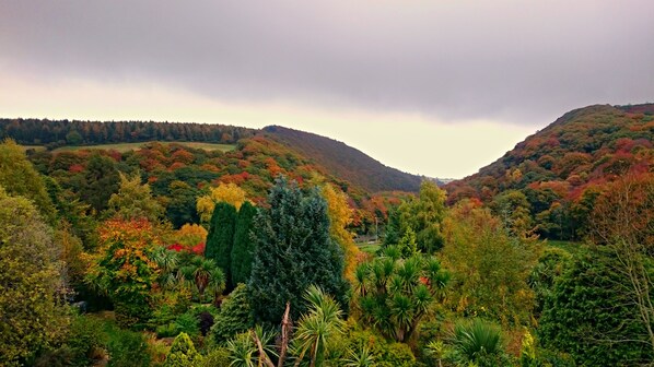 Terrain de l’hébergement